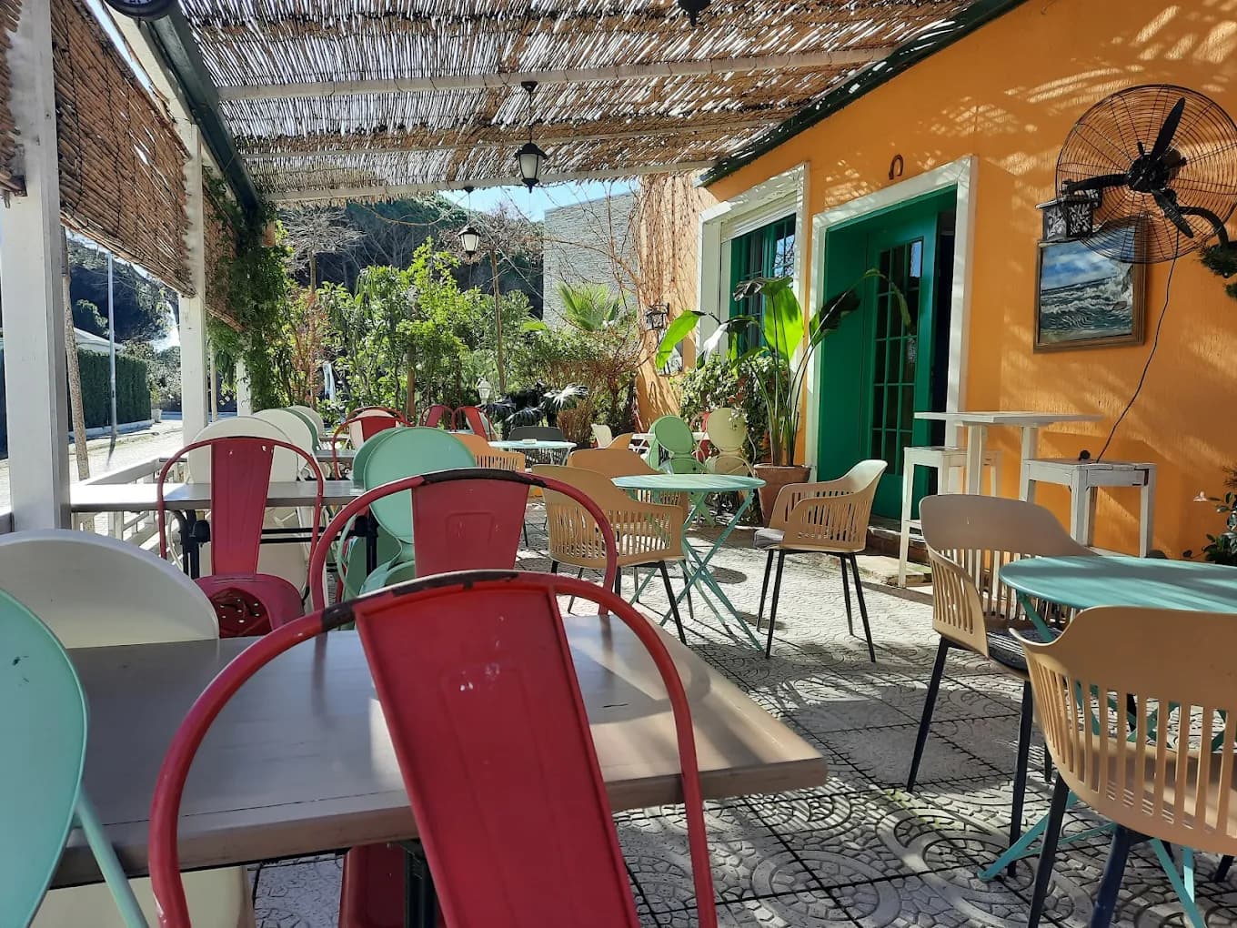 Rodon Bar recommendation in Lalzi Bay